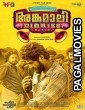Angamaly Diaries (2017) Hindi Dubbed South Indian Movie