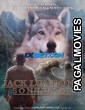 Jack Londons Son of the Wolf (2024) Hollywood Hindi Dubbed Full Movie